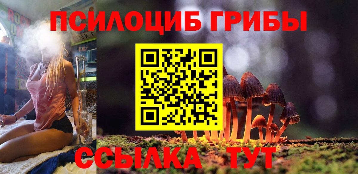 Галлюциногенные грибы Psilocybine cubensis Ипатово