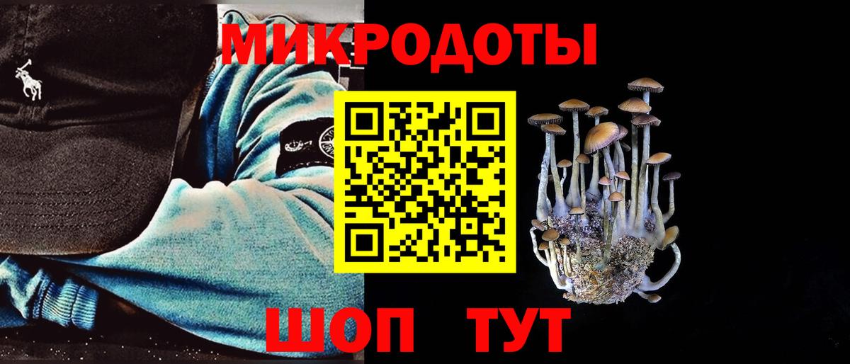 Псилоцибиновые грибы мухоморы  что такое наркотик  Вход с VPN  Ипатово  Псилоцибиновые грибы мицелий 